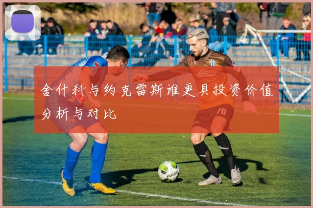 舍什科与约克雷斯谁更具投资价值分析与对比