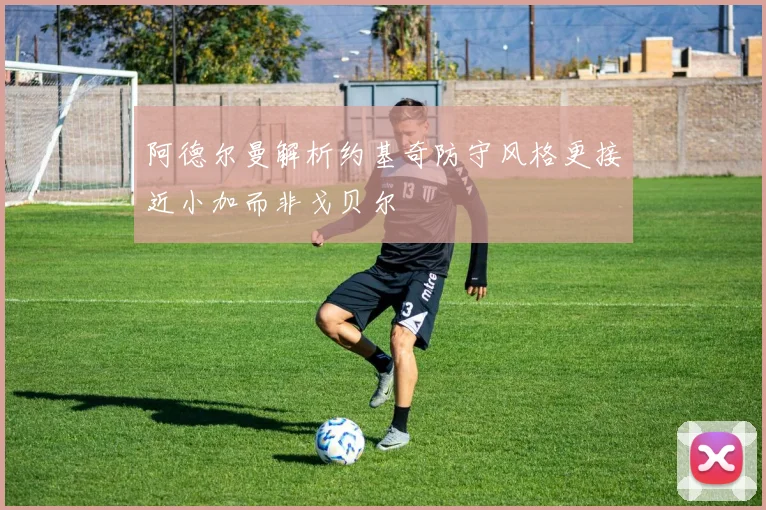 阿德尔曼解析约基奇防守风格更接近小加而非戈贝尔