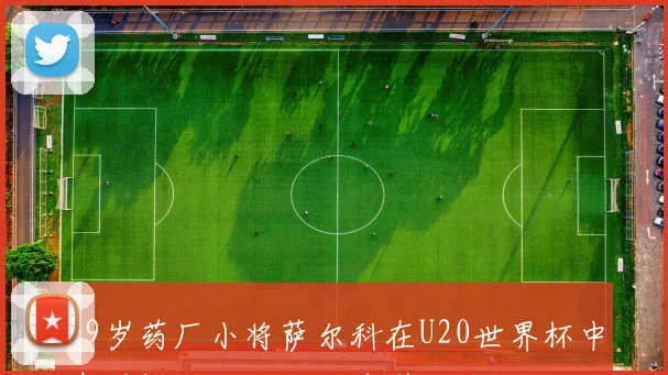 19岁药厂小将萨尔科在U20世界杯中表现惊艳已打入四球引发关注