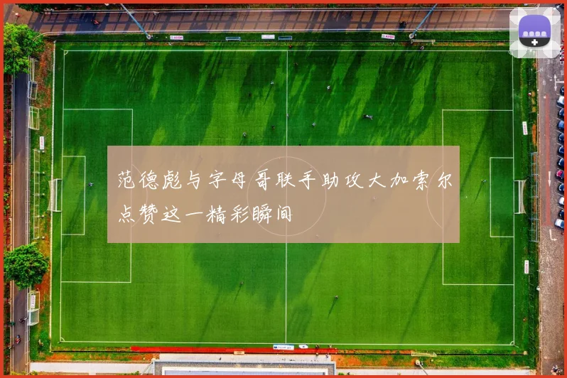 范德彪与字母哥联手助攻大加索尔点赞这一精彩瞬间