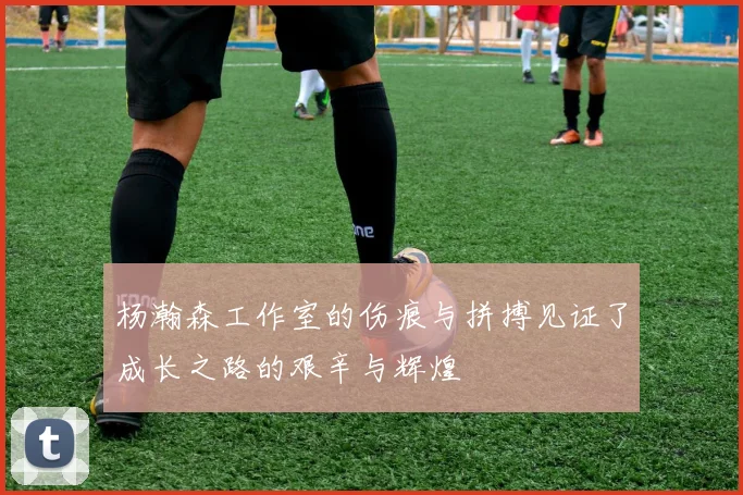 杨瀚森工作室的伤痕与拼搏见证了成长之路的艰辛与辉煌